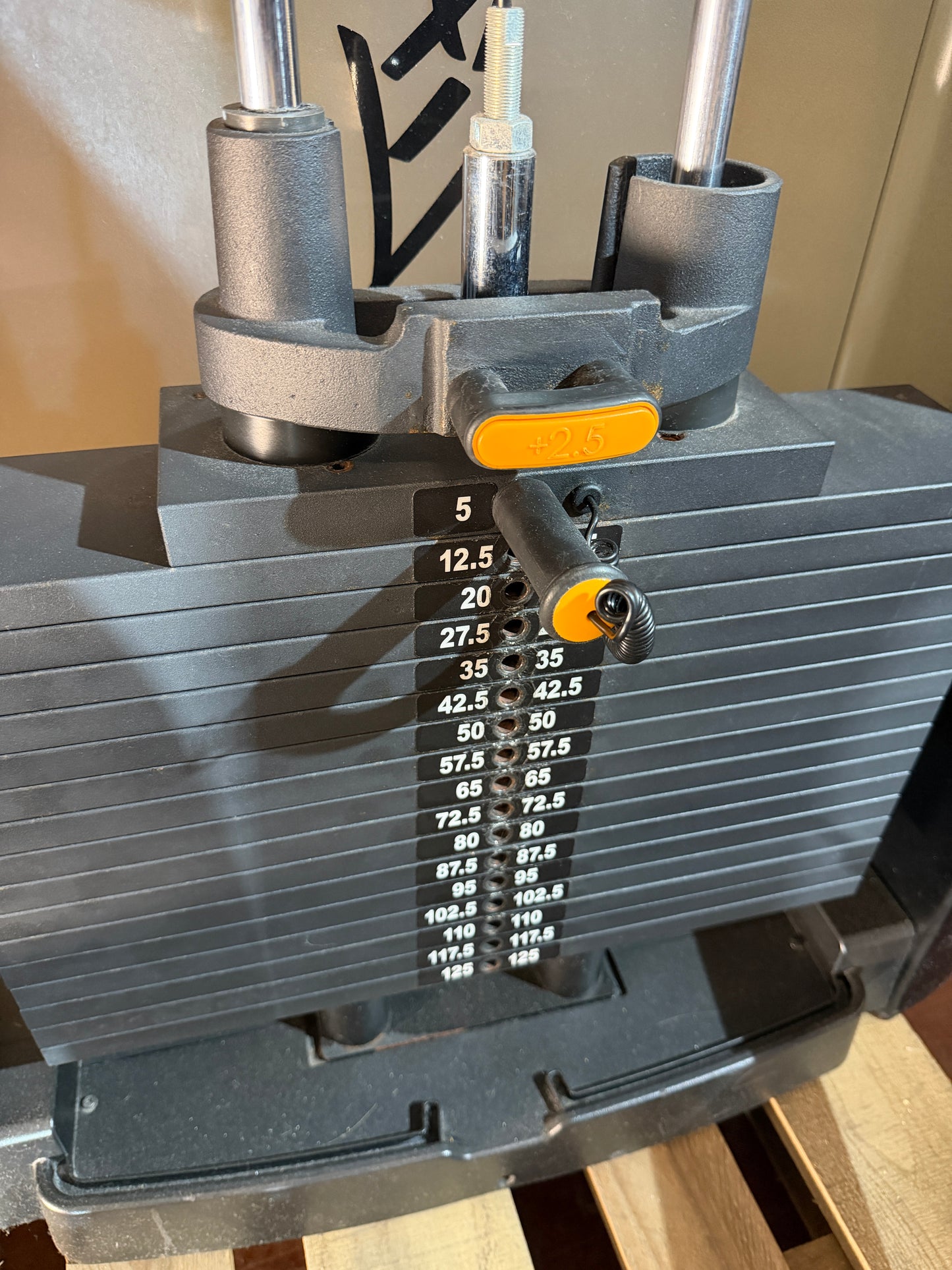 Beinstrecker - Life Fitness