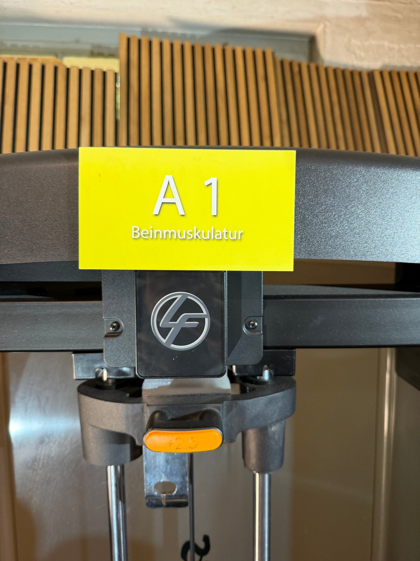 Beinstrecker - Life Fitness