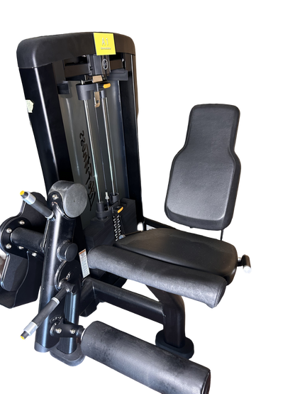 Beinstrecker von Life Fitness