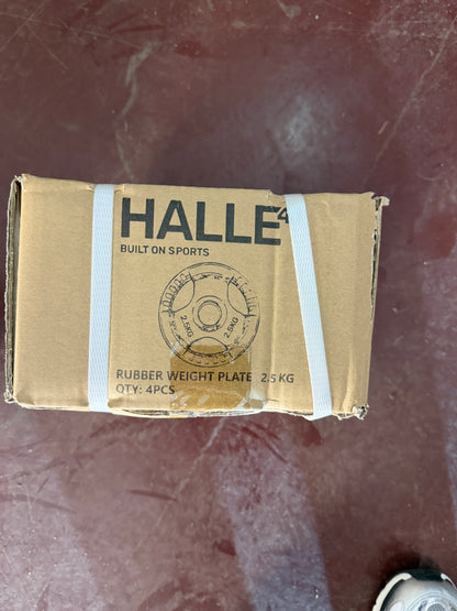 Halle41 Gummigewicht 2,5 kg