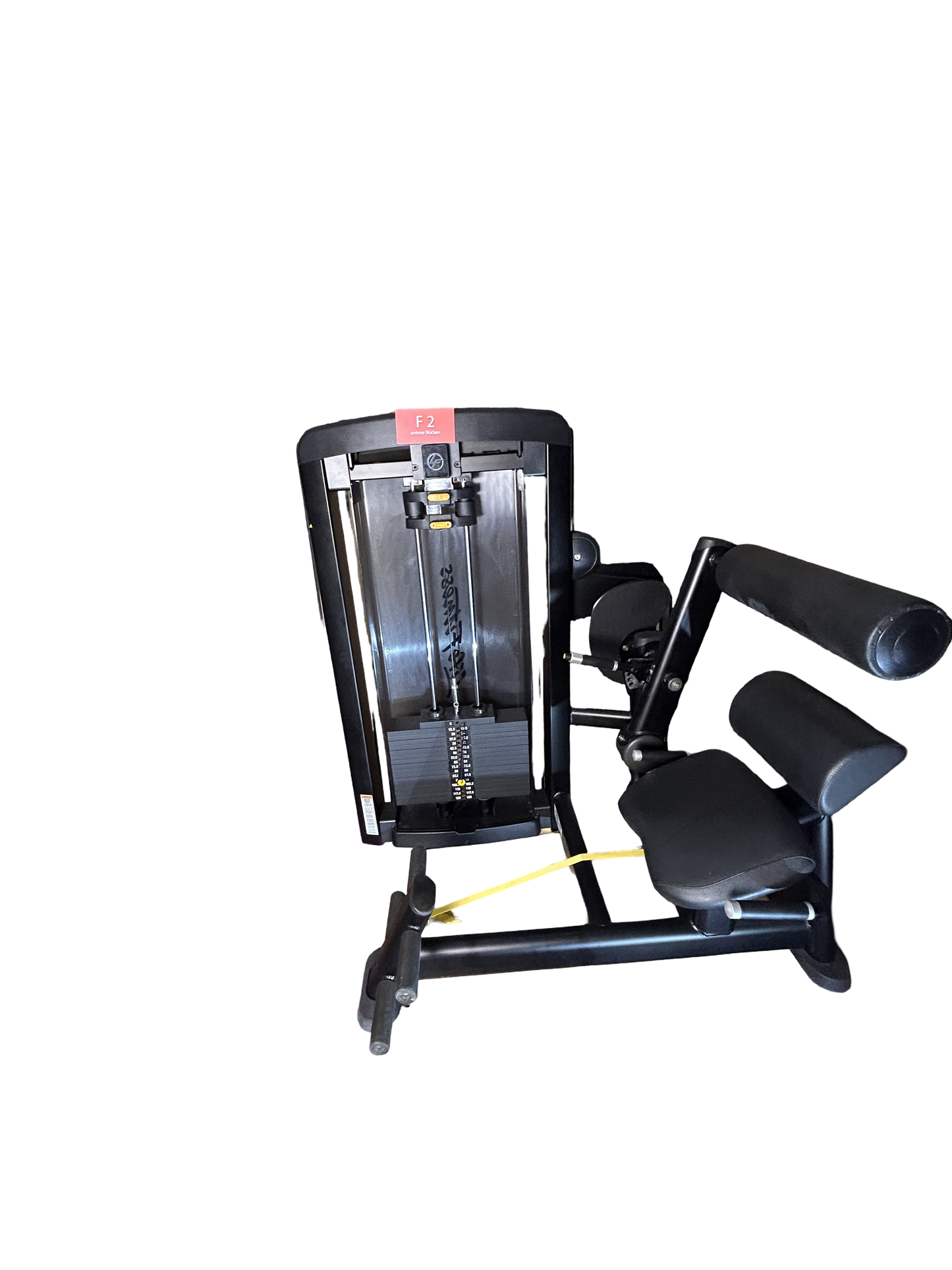 Rückenstrecker Maschine von Life Fitness