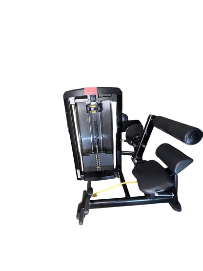 Rückenstrecker Maschine von Life Fitness