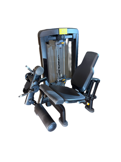 Beinstrecker - Life Fitness