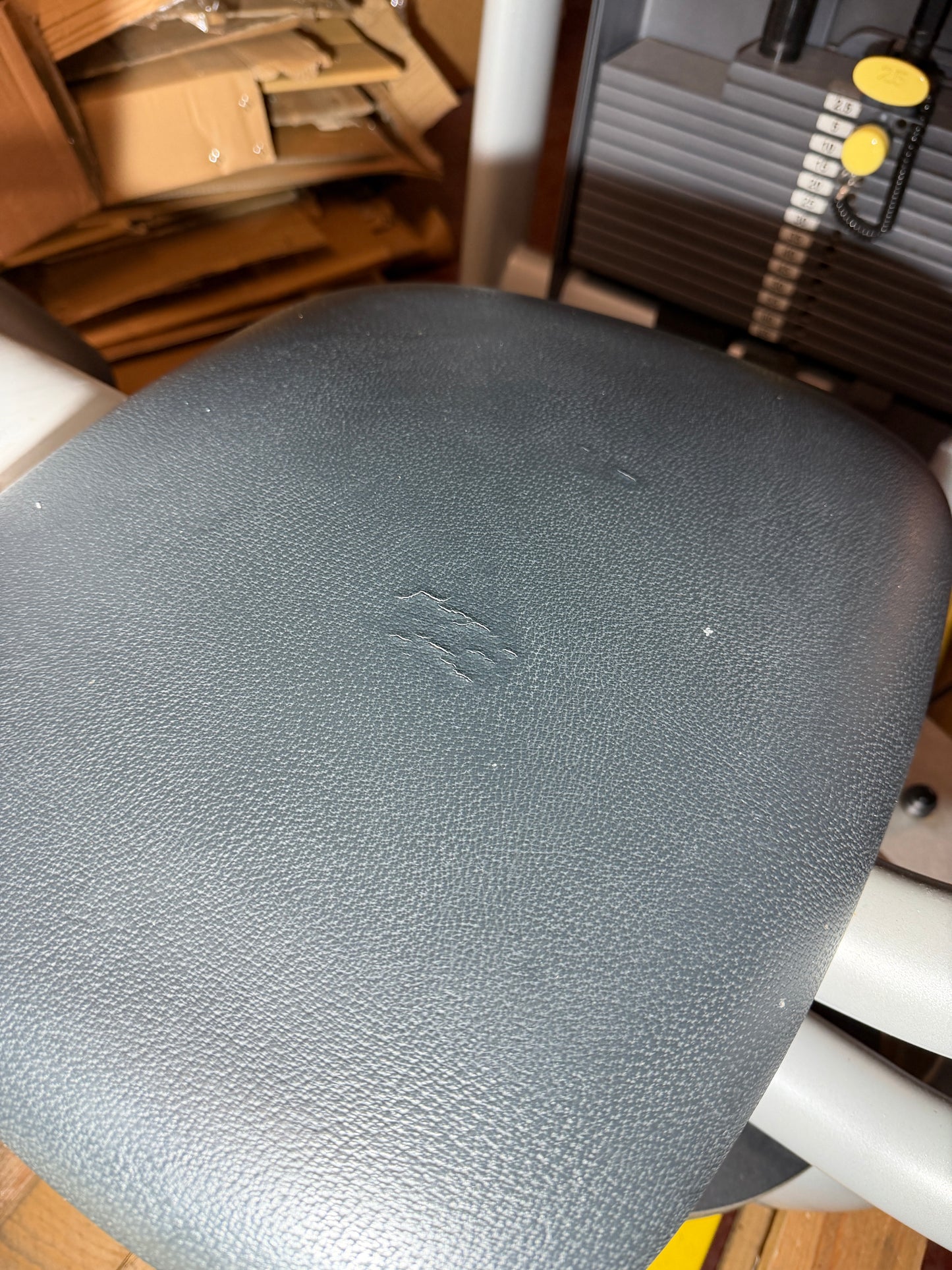 Rumpfrotation | Technogym Rotary Torso | GUTER ZUSTAND