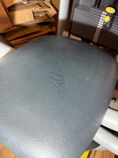 Rumpfrotation | Technogym Rotary Torso | GUTER ZUSTAND