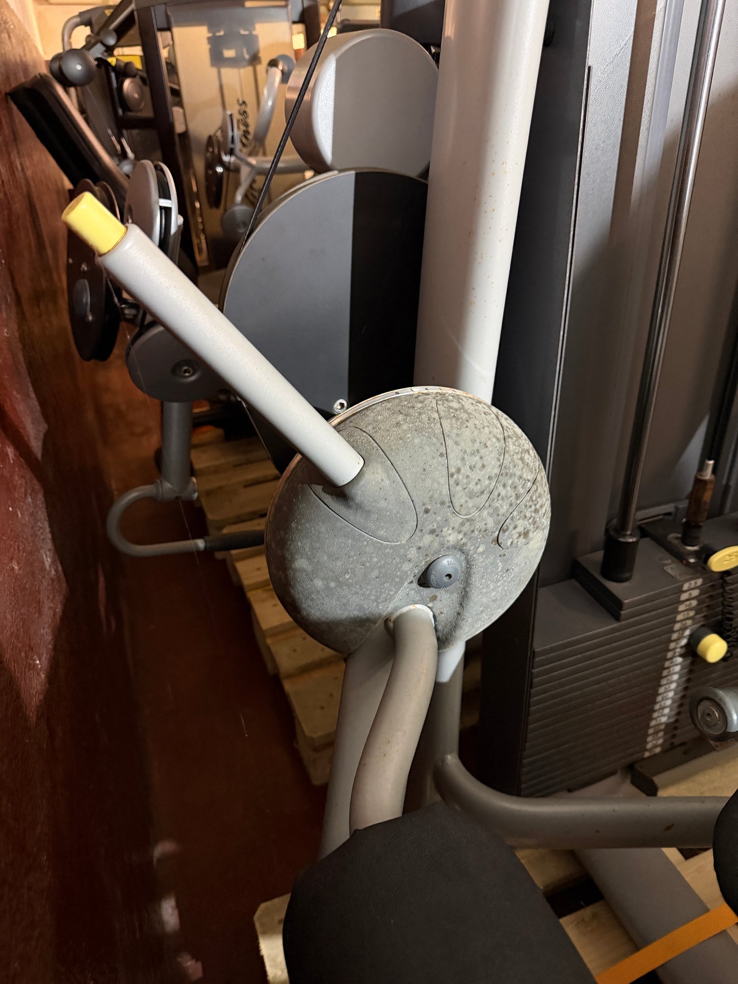 Beinbeuger sitzend | Technogym | Gebraucht, guter Zustand