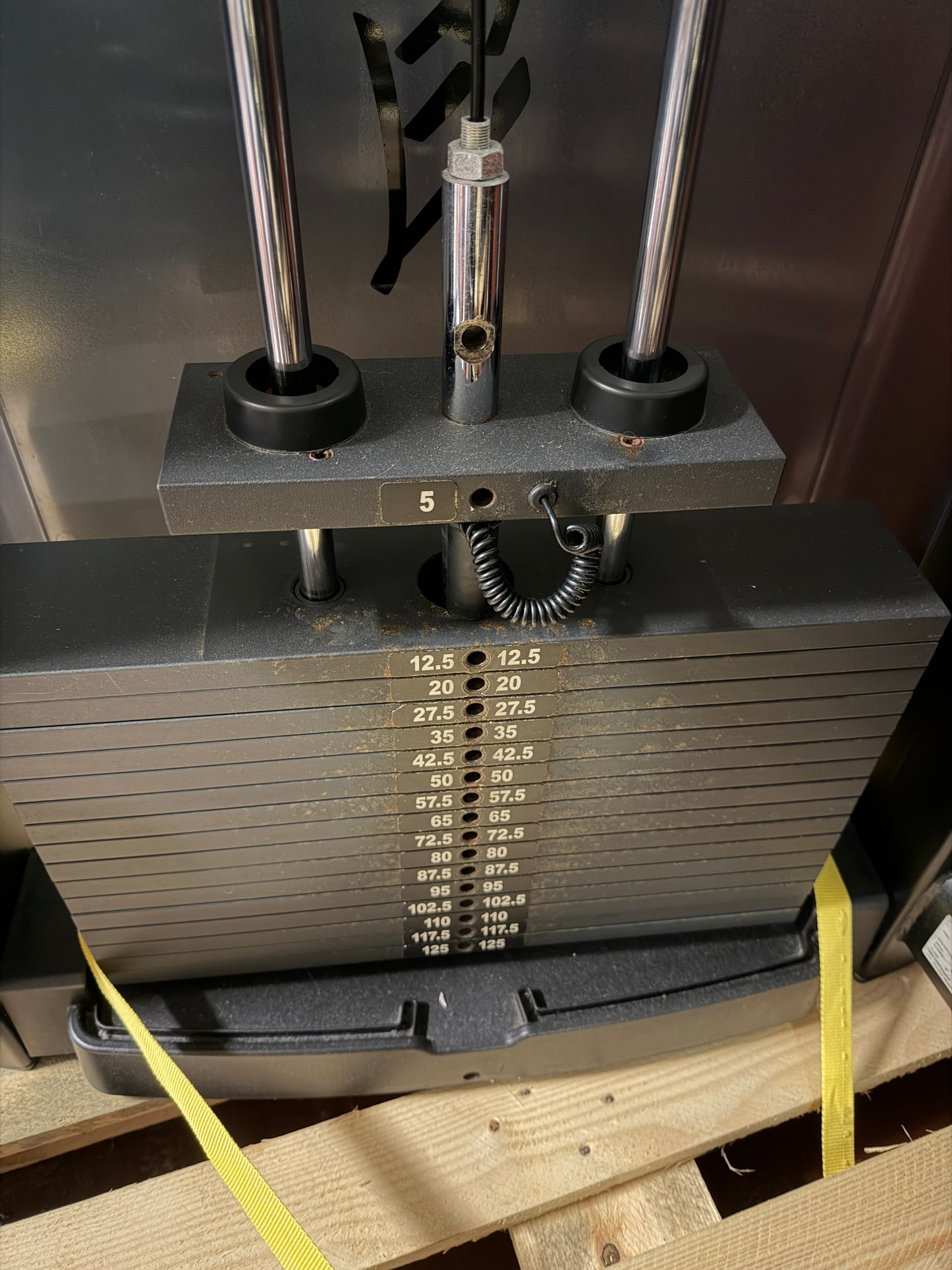 Oberer Rücken | Life Fitness | SEHR GUTER ZUSTAND