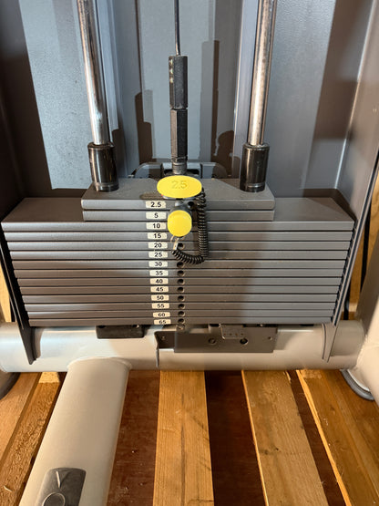 Rumpfrotation | Technogym Rotary Torso | GUTER ZUSTAND